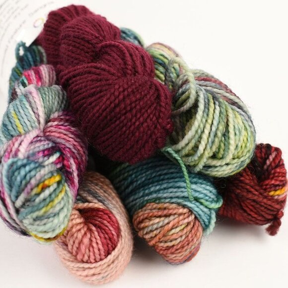 Hue Loco Merino Sock Mini Bundle Fingering Weight 80/20 SW Merino Nylon Sangria - Picture 2 of 3